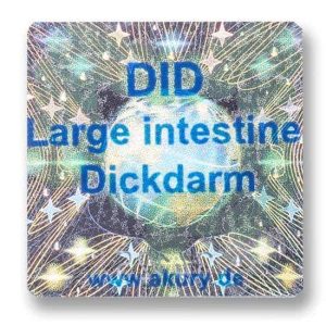 DID - Large Intestine