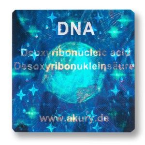 DNA - Deoxyribonucleic Acid