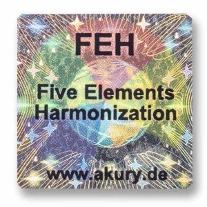 FEH - Five Elements Harmonization