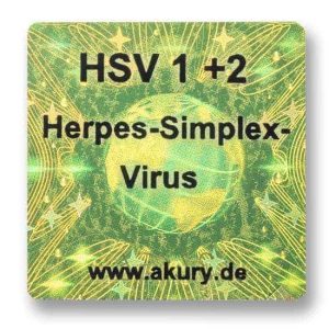 HSV 1+2 - Herpes Simplex Virus
