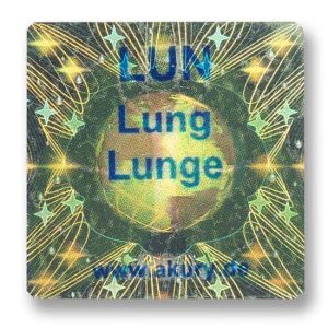 LUN - Lunge