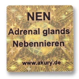 NEN - Adrenal Glands