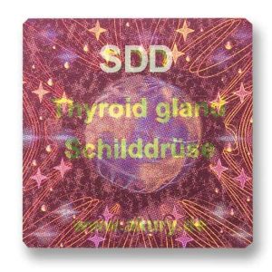 SDD - Thyroid Gland