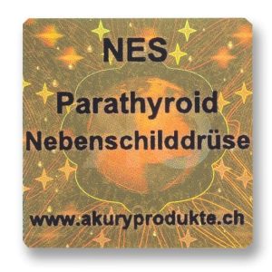 NES - Parathyroid Glands