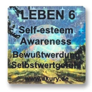 LEBEN 6 - Bewusstwerdung, Selbstwertgefühl