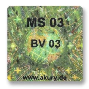 MS 03 - BV 03