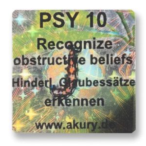 PSY 10 - Recognize and Harmonize Obstructive Beliefs