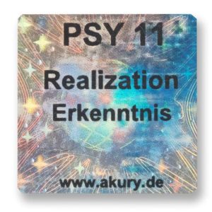 PSY 11 - Realization