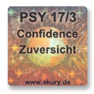 PSY 17/3 - Promoting Confidence