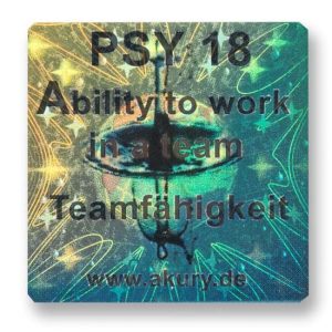 PSY 18 - Promoting the Ability to Work in a Team