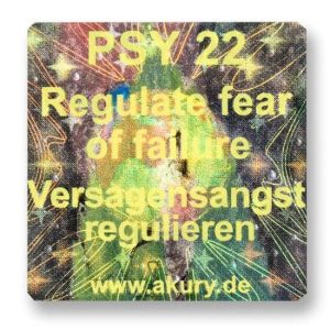 PSY 22 - Regulating Fear of Failure