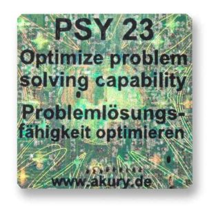 PSY 23 - Optimizing Problem-Solving Competence