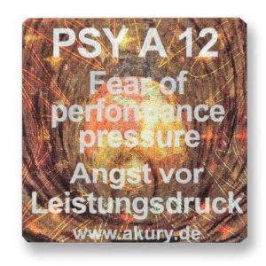 PSY A 12 - Fear of Pressure to Perform