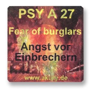 PSY A 27 - Fear of Burglars