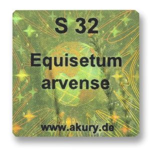 S 32 - Schachtelhalm / Equisetum arvense
