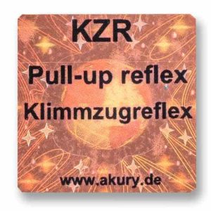 KZR - Pull-up Reflex