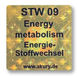 Set - Lack of Energy, Listlessness