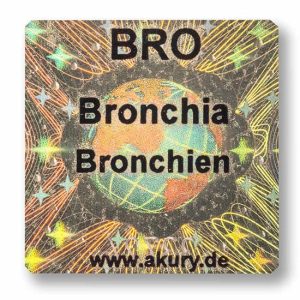 BRO - Bronchia