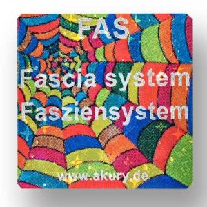 FAS - Fascia, fascial system