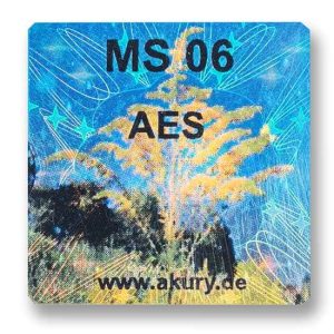 MS 06 - AES