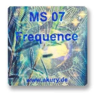 MS 07 - Frequence