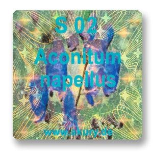 S 02 - Eisenhut / Aconitum napellus