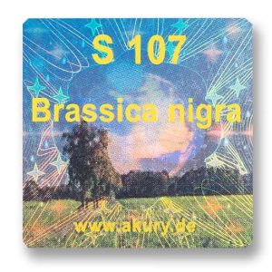 S 107 - Schwarzer Senf / Brassica nigra