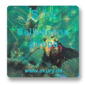 S 14 - Tollkirsche / Belladonna atropa