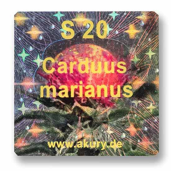 S 20 - Milk Thistle / Carduus marianus