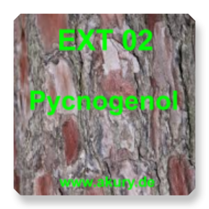 EXT 02 Pycnogenol (wound healing, CVI)