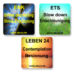 Set - Stress Decoupling - Deceleration - Reflection.