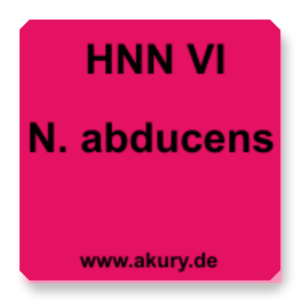 HNN VI N.Abducens