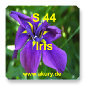 S 44 Iris (iris)