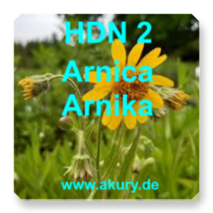 HDN 2 - Arnica